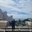 2025 제주 국제블루아트페어 구경해버리기