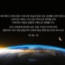 옳은길