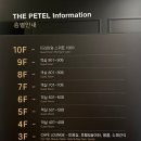 더펫텔 이미지