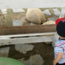 동현목장 이미지