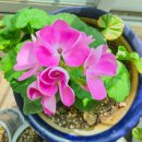 스마트폰 활용 사진+동영상 촬영 | 삼성 갤럭시 S26 울트라, 사진과 동영상 촬영 후기