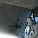 첨단미르치과병원 이미지