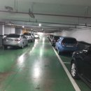 문정현대2차아파트 이미지