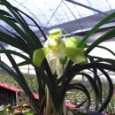 봉담농장 이미지