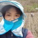 최부자농장 이미지