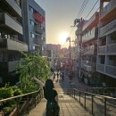 [골목]동화구연 | [도쿄|야나카긴자] 도쿄의 옛 감성이 남아있는 레트로 골목과 상점가 산책 | 고양이 마을, 야나카긴자