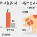 인살롱
