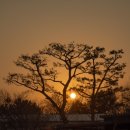 더 코지 캠핑장 이미지