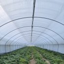 29 하우스 이미지