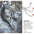 김해가축약품 | &lt;오늘의 역사&gt; 9월 7일