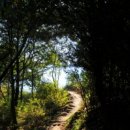 지리산길