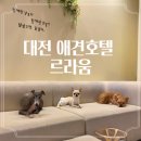 르라움 애견호텔 신암점 | 대전 애견호텔 추천 &lt;르라움&gt;유성점 방문 후기
