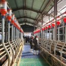 남원흑염소농장 2농장 이미지