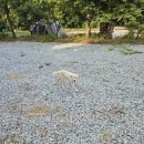 삼산휴게소 이미지