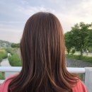 수다부띠크
