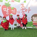 2월 13일 현장학습 - 🍓 딸기밭🍓 이미지