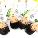 MTA라이온즈태권도 이미지