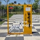 그 꼴로 산책가개? | 전주 팔복동 반려동물 놀이터 운동장 같이가개 소형견 중형견 대형견동반 무료