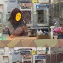 펫피아 동물병원 이미지