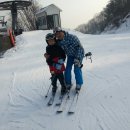 짐엔풀 이미지