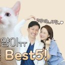 사랑플러스 동물병원 이미지