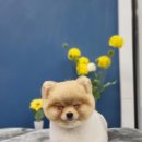 멍멍's 연구소 이미지