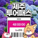 제주투어패스 48시간권으로 다녀본 제주｜공연·카페·카멜리아힐 후기