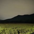 다온민박 이미지