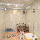 이츠펫(청당점) 이미지