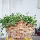 저그머그 이미지