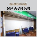 부산광역시 중구청 | 울산 중구청 농협 업무종료후 내리는 형식의 방염블라인드 방염롤스크린 전동블라인드 시공후기