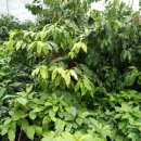 만회농장 이미지