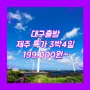 호텔펄리플러스 | 대구제주도여행 여행사 / 대구공항 / 대구_특가_제주도_3박4일 #관광패키지 #석조