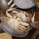 임성근국가공인진갈비 이미지