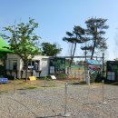 D-19 | 전국 파크골프장 투어(56-1)- 경기도 안산시 단원구 대부도파크골프장에서 라운딩 1부