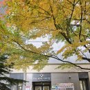 한숲산내음공원 이미지