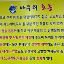 정디 이미지