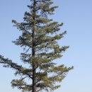 순천왜성 화장실 이미지