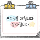 보물섬아동복 이미지
