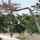 칠포2리 이미지