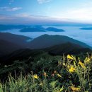 노고단-3 이미지