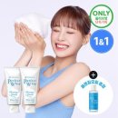 슈가트리 이미지