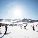 알펜시아리조트 이미지