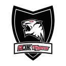 월드타이거즈 이미지