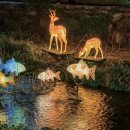 달빛 1교 이미지