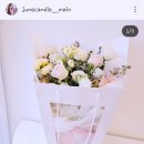 주니캔들관설 이미지