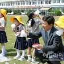 한림초등학교 병설유치원 헤드라인제주