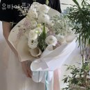 유비아플레르 이미지