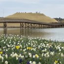 호텔디에이치(HOTEL THE H) 이미지