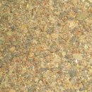 꿀벌이 만든 천연 항상제 프로폴리스의 효능 이미지